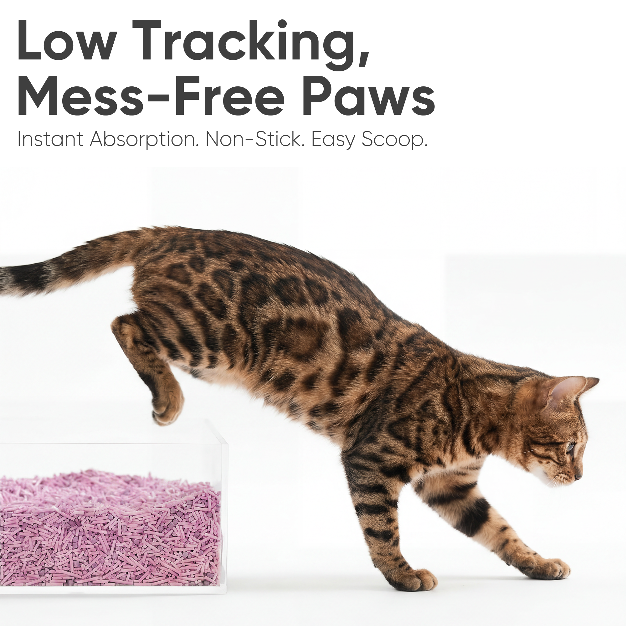 Lavender Tofu Litter
